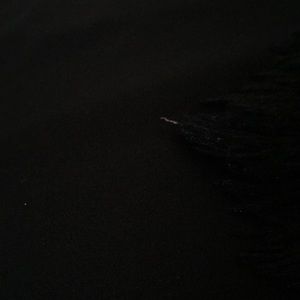 Meet your Posher, Charissa